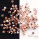 Crystal Capri Gold - 1 pcs. - 4 mm bicone beads