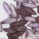 Etched Transp. Luster Amethyst - 10 pc. - Dagger Beads 5x16 mm
