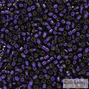0609 - Silver Lined Dark Purple - 5 g - 11/0 delica