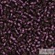 0611 - Silver Lined Wine - 5 g - 11/0 delica beads
