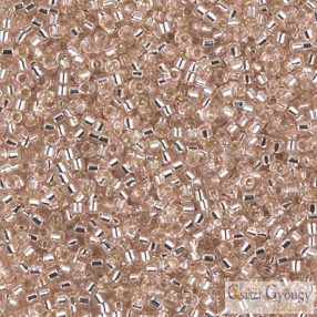 1203 - Silver Lined Rosaline - 5 g - 11/0 delica beads