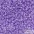 2138 - Duracoat Opaque Columbine - 5 g - 11/0 Miyuki Delica beads