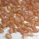 Matte Apricot Medium - 2,5 g - Gekko Beads 3x5 mm