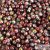 Magic Wine - 50 pcs. - 3 mm Round Beads (95200)