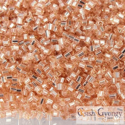 0031 - Silver Lined Rosaline - 10 g - 11/0 Toho Hexagon