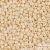 0123 - Opaque Luster Light Beige - 10 g - 11/0 Toho japán kásagyöngy