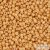 0123D - Opaque Luster Dark Beige - 10 g - 11/0 Toho japán kásagyöngy