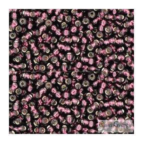 Silver Lined Amethyst - 10 g - 11/0 Toho Rocailles (26C)