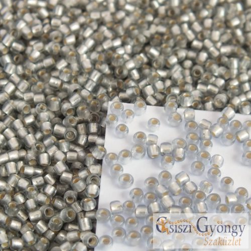 Silver Lined Frosted Black Diamond - 10 g - 11/0 Toho rocailles (29AF)