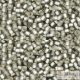 Silver Lined Frosted Black Diamond - 10 g - 11/0 Toho rocailles (29AF)