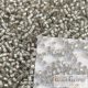 Silver Lined Frosted Black Diamond - 10 g - 11/0 Toho rocailles (29AF)