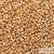 Perm. Fin. Galv. Rose Gold - 10 g - 11/0 Toho Rocailles (PF551)