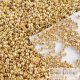 PF557 - Perm. Finish Galv. Starlight - 10 g - 11/0 Toho rocailles