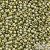 457 - Gold Luster Green Tea - 10 g - 11/0 Toho Seedbeads