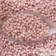 Opaque Frosted Shrimp - 10 g - 11/0 Toho Seed Beads (764)