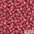 2113 - Slver Lined Milky Pomegranate - 10 g - 11/0 Toho Rocailles