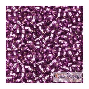 2219 - Silver Lined Grape - 10 g - 11/0 Toho kásagyöngy