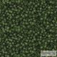 Transparent Frosted Olivine - 5 g - 15/0 Toho Rocailles (940F)