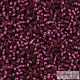 2223 - Silver Lined Dragonfruit - 5 g - 15/0 Toho Seedbeads