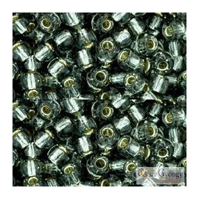   0029B - Silver Lined Grey - 10 g - 6/0 Toho japán kásagyöngy