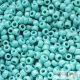 Opaque Turquoise - 10 g - 6/0 Toho Seed Beads (55)