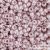 Ceylon Grape Mist - 10 g - 8/0 Toho rocailles (151)