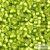 Silver Lined Frosted Lime Green - 10 g - 8/0 Toho Rocailles (24F)