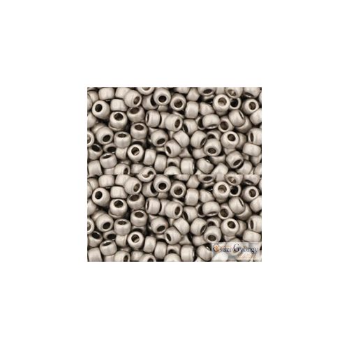 0566 - Metallic Frosted Antiq. Silver - 10 g - 8/0 Toho Seedbeads
